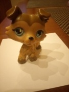 Pet shop piesek brąz 