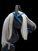 Konik hobby horse a4 