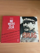 Dariusz Tołczyk Nie widzieć zła. Gułag w oczach Zachodu