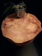 Stolik kawowy z pnia drewna loft InWoodDesign