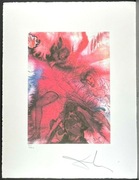 Salvador Dali - Bez tytułu - litografia