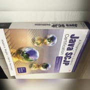 A Programmer's Guide to Java SCJP Certification