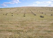 Siano kostka od rolnika xxl eko Kostka 60x40x40cm