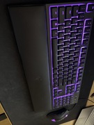 Razer deathadder v2 + Razer ornata chroma