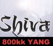 Shiva.pl International global Yang