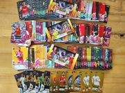 Karty Premier League Plus 2024 na sztuki