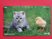 JAPONIA    - Karta telefoniczna  /  KOTY