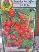 Pomidor koktajlowy 'Bajaja'