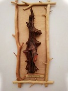 szkielet górnej części zgnitego pnia świerka.