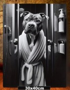 Amstaff Pitbull Obraz Canvas Na Ramie 30x40cm