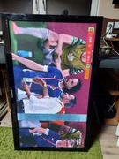 Samsung PS50C430A1W  (uszkodzony)