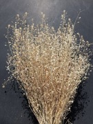 Tasznik naturalny suszony trawy zboża susz  kwiaty bukiety 