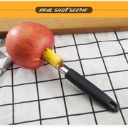 Drylownica do usuwania nasion jabłko, gruszka