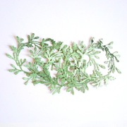 Scrapki Papierowe - Wianek Ostrokrzew Jemioła ręcznie malowany 5 szt.