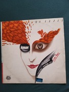 Na luzie płyta winylowa 