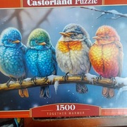 CASTORLAND puzzle 1500