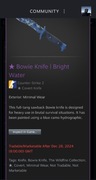 Bowie Jasne Wody (Bright Water) MW nóż knife cs 2 cs go