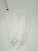 Pióra 25-27 cm, naturalne jak gęsi kaczki bażanta 