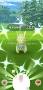 Konto Pokemon go z shiny Kecleon POKEMON GO 