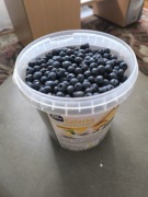 Wiadereczko 1kg (ponad litr) jagód leśnych zbierane na zamowienie