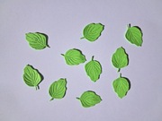 Scrapki liść tłoczony 10 szt. 28x17 mm jasnozielony gramatura 160 g/m2
