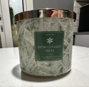 snow covered trees Goose creek