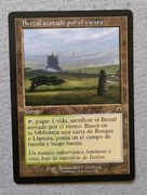 Windswept Heath (V.2) karta MTG 