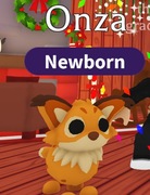 Onza! |NAJTANIEJ SZYBKO DUŻO POLECEŃ!|Adopt Me|Roblox