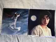 Conan Gray Wishbone Signed Vinyl Autograf bardzo dobry 