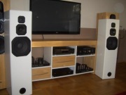 VISATON  WS26SF  PARA