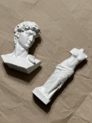 Zestaw Dawid i Venus