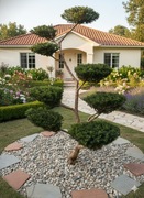 CIS FORMOWANY. Niwaki. Bonsai Ogrodowy.