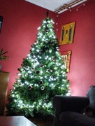 Choinka amerykańska 2.29 m