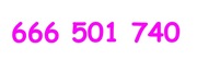 666 501 740 ZŁOTY NUMER T-Mobile / Heyah