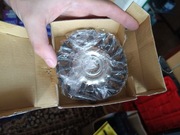 Szczotka druciana skręcana horn średnica 100mm (otwór 22,2mm) 30szt zestaw