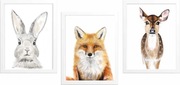 3 PLAKATY plaka A3  zając lis sarna LAS MONTESSORI