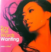 Wanting – Say The Words (CD, 2013)