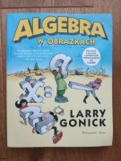 Larry Gonick - Algebra w obrazkach