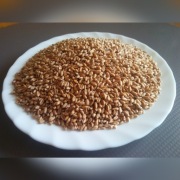 Pszenica drobna czysta dla gołębi drobiu 20kg wysy