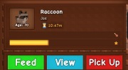 Raccoon | Pet | Grow A Garden Roblox