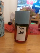 Loewe  Paula's Ibiza 50 ml edt