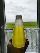 Butelka do dozownika płynu do naczyń