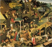 Fleet Foxes  2 CD Fleet Foxes    folk indie limited edition   ideał