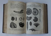 Das Buch der Natur, dr. F. Schoedler, książka przyrodnicza