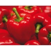 Papryka czerwona Yecla F1