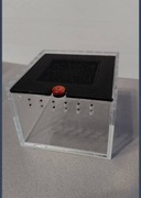 Mini terrarium akrylowe z wentylacją - małe pająki, skorpiony i inne