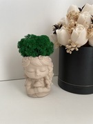 Doniczka betonowa z chrobotkiem