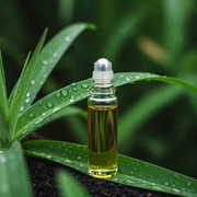 Naturalny Olejek na Ukąszenia Owadów – Roll-on