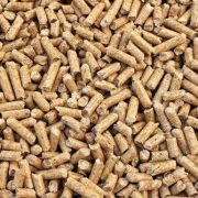 Żwirek drewniany 10 L Ekologiczny