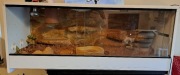 Terrarium 108x45x45 Agama wyposażone drewno białe żarówki